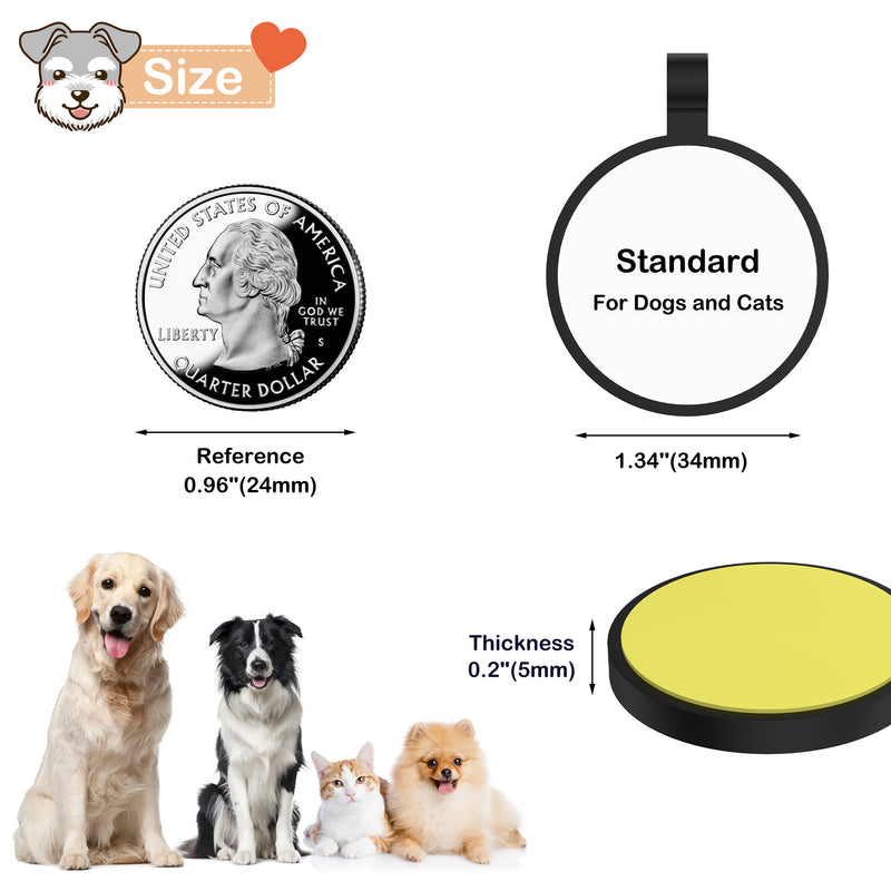Dogs trust tags hot sale