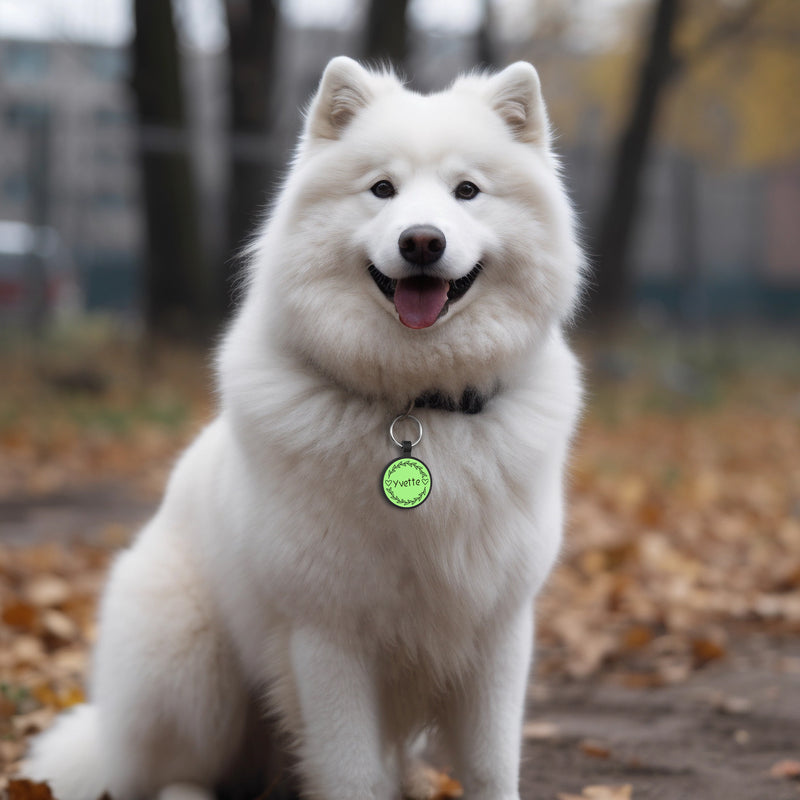 Silicone Dog Tags - GISUERY Silent Dog Tag - No More Jingling and Waterproof - Personalized Indoor Dog Tag with Double-Sided Engraving - Soundless Puppy Kitten Pet ID Tag (Round - Vine)